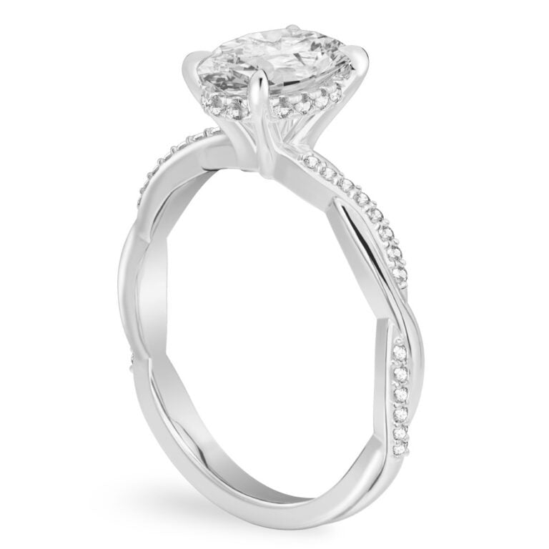 Twisted Love 1 Ct Hidden Pave Band & Halo Engagement Ring